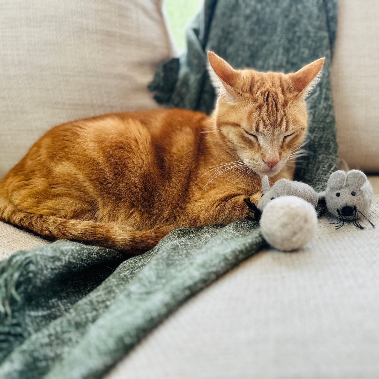 100% New Zealand Natural Wool. Non-Toxic. No Plastics. Recyclable. Compostable. Toy Mice. Sustainable Cat Products Australia. Eco-Friendly.