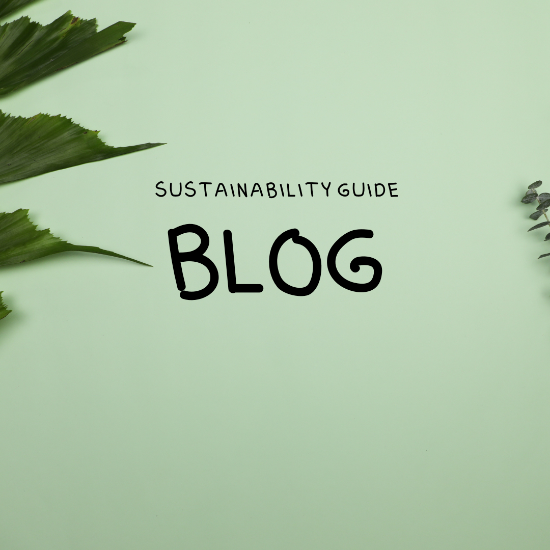 Purr-fectly Sustainable: 5 Ways to Create an Eco-Friendly Home for Your Feline Friend