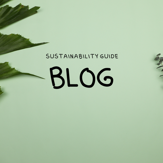 Purr-fectly Sustainable: 5 Ways to Create an Eco-Friendly Home for Your Feline Friend
