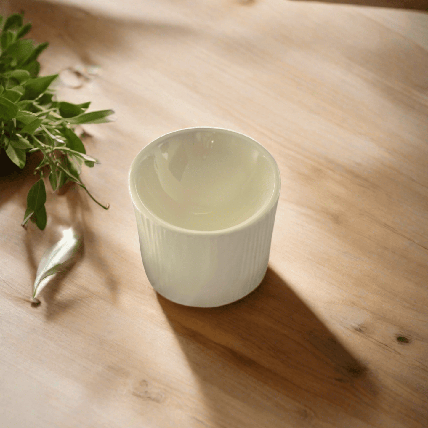 Ceramic Cat Bowls. Modern. Dishwasher Safe. Recyclable. Ergonomic Design. Different Colours. Cat Bowls. Elevated Design. Sustainable Cat Products AustraliaFree Shipping until Jan 15th 2025!