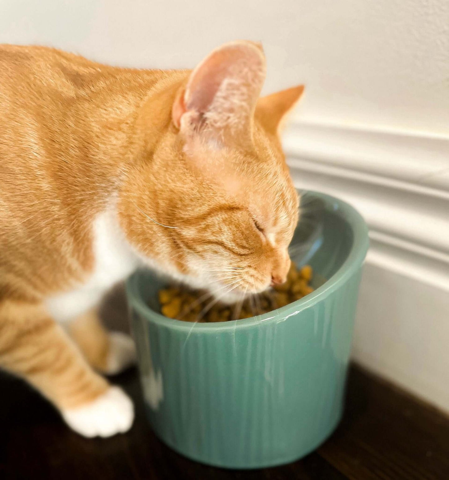 Dark Green Elevated Ceramic Cat Bowl